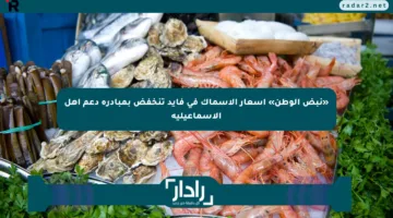 «نبض الوطن» أسعار الأسماك في فايد تنخفض بمبادرة دعم أهل الإسماعيلية